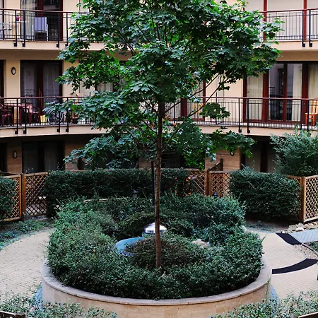 King Daire *